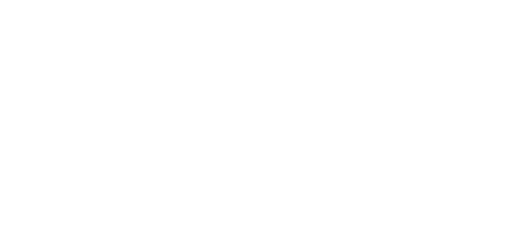 ALY AI